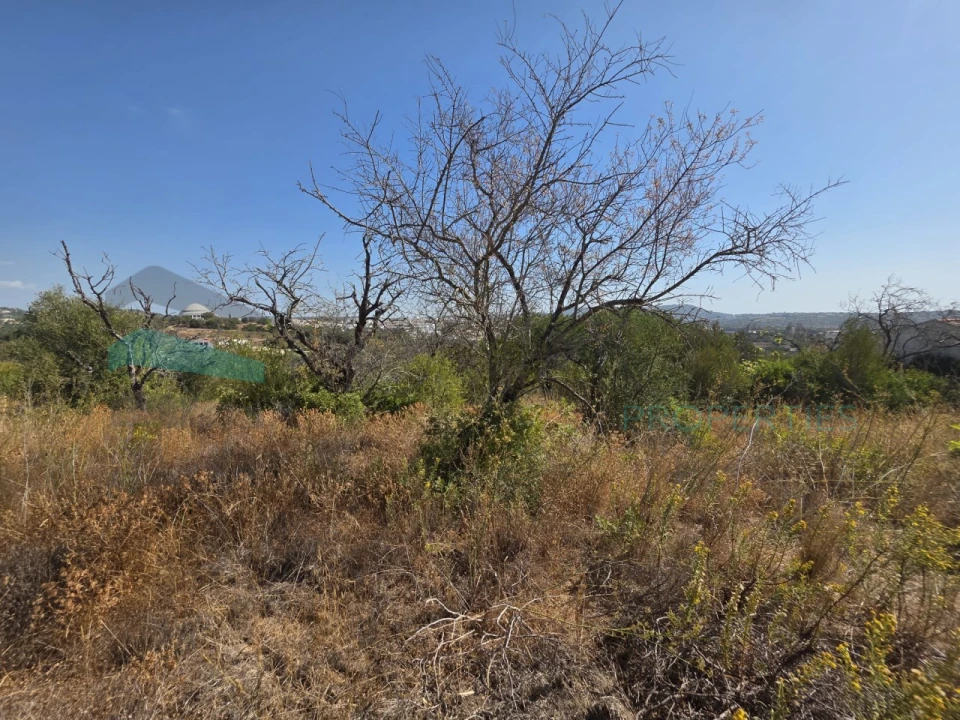 Terreno Misto para Venda em Loule (São Sebastião) Foto 18