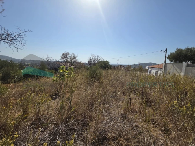 Terreno Misto para Venda em Loule (São Sebastião) Foto 5