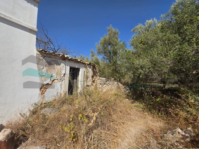 Terreno Misto para Venda em Loule (São Sebastião) Foto 10