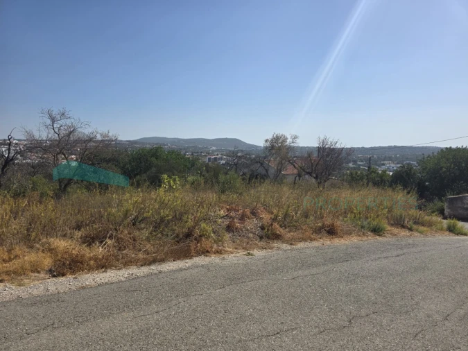 Terreno Misto para Venda em Loule (São Sebastião) Foto 11