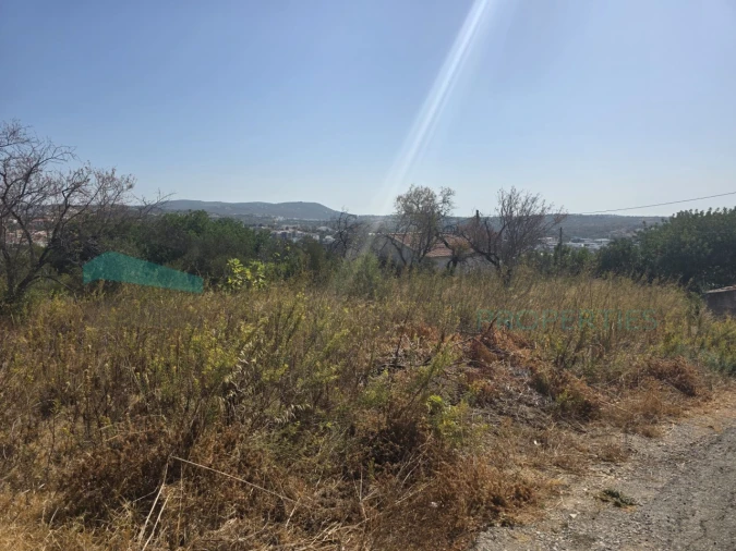 Terreno Misto para Venda em Loule (São Sebastião) Foto 16
