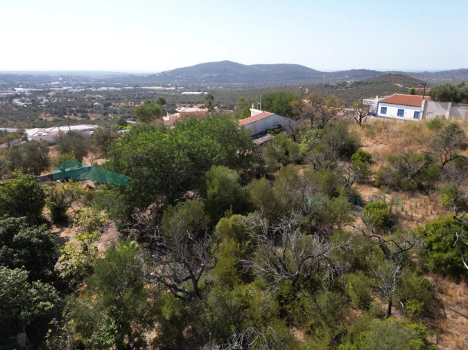 Terreno Misto para Venda em Loule (São Sebastião) Foto 14