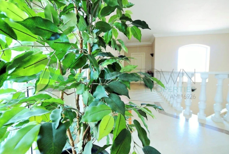 Moradia T5 para Venda em Albufeira e Olhos de Água Foto 22