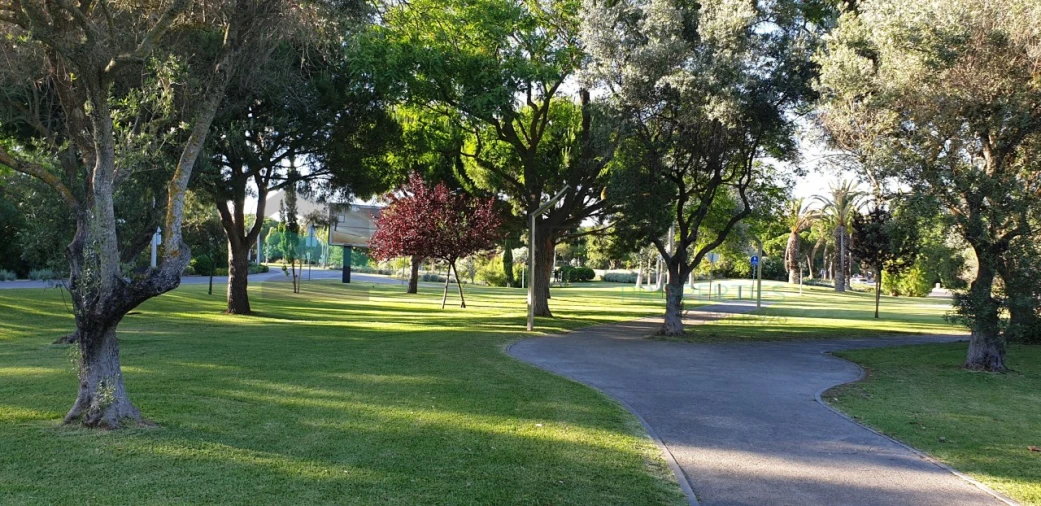 Terreno para Venda em Quarteira Foto 7