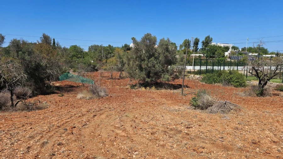 Moradia T4 para Venda em Boliqueime Foto 10