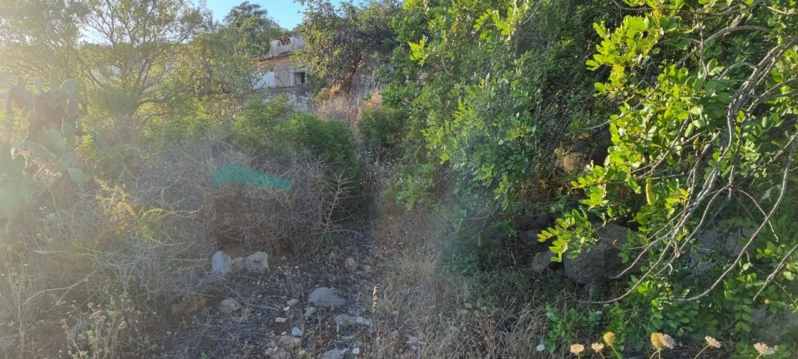 Terreno para Venda em Conceição e Estoi Foto 3