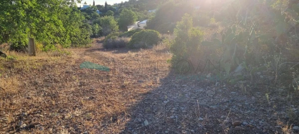 Terreno para Venda em Conceição e Estoi