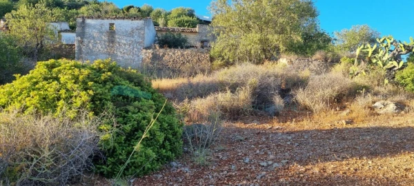 Terreno para Venda em Conceição e Estoi