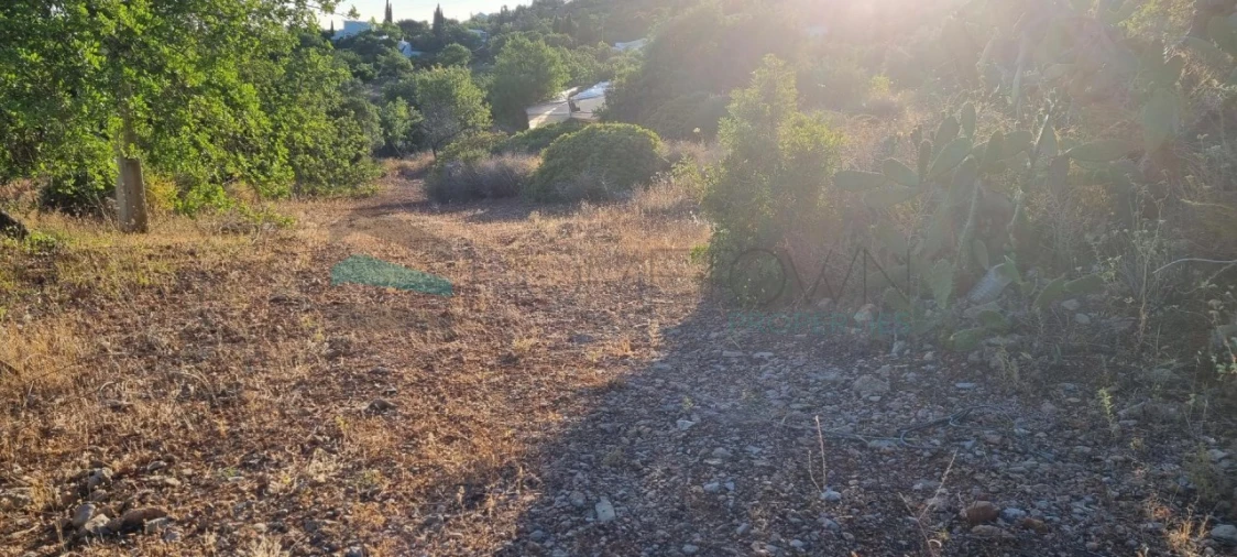 Terreno para Venda em Conceição e Estoi Foto 4