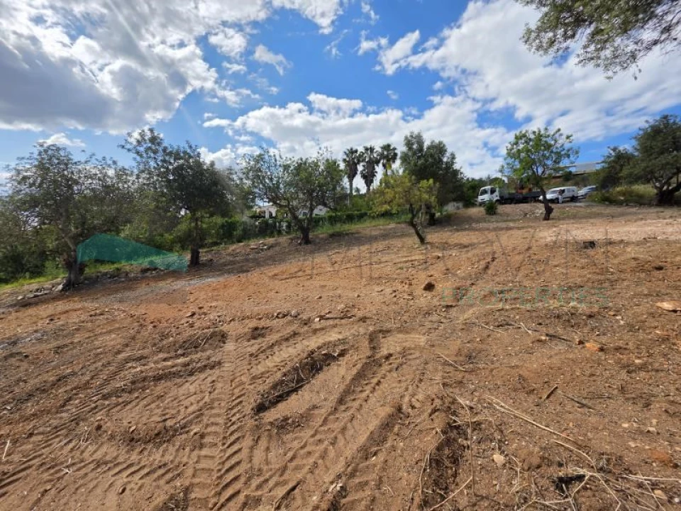 Terreno Agricola ou Rústico para Venda em Boliqueime Foto 8