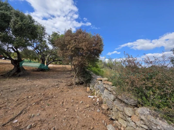 Terreno Agricola ou Rústico para Venda em Boliqueime Foto 6