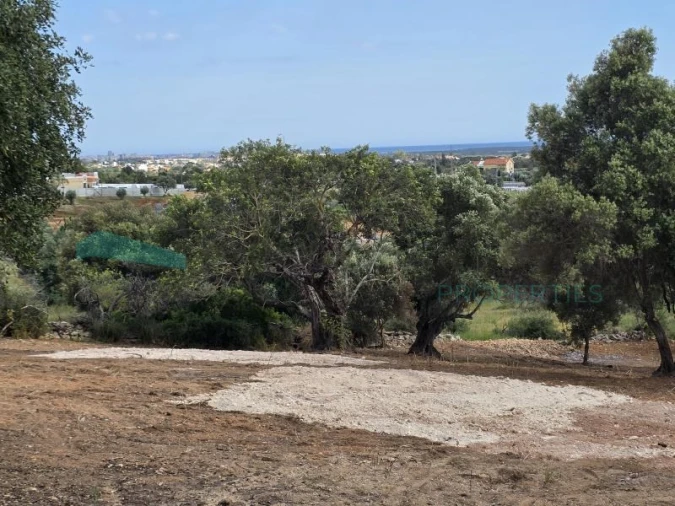 Terreno Agricola ou Rústico para Venda em Boliqueime Foto 11