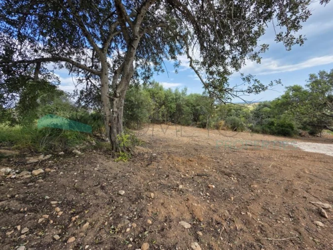 Terreno Agricola ou Rústico para Venda em Boliqueime Foto 15
