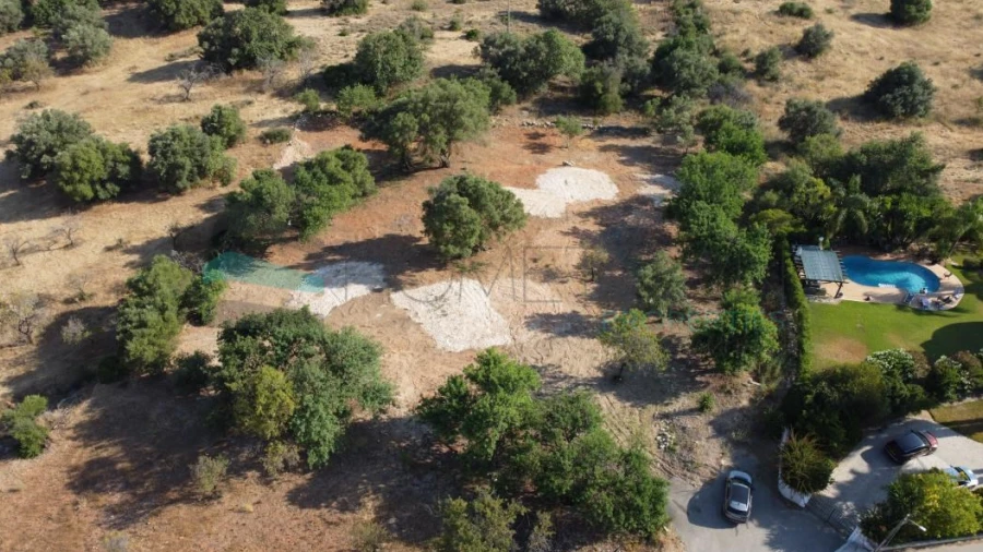 Terreno Agricola ou Rústico para Venda em Boliqueime