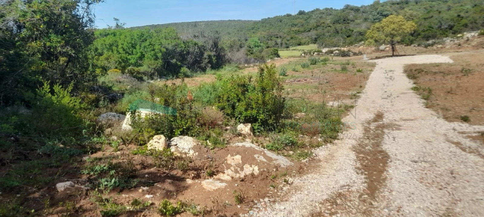 Terreno Agricola ou Rústico para Venda em Loule (São Clemente) Foto 3