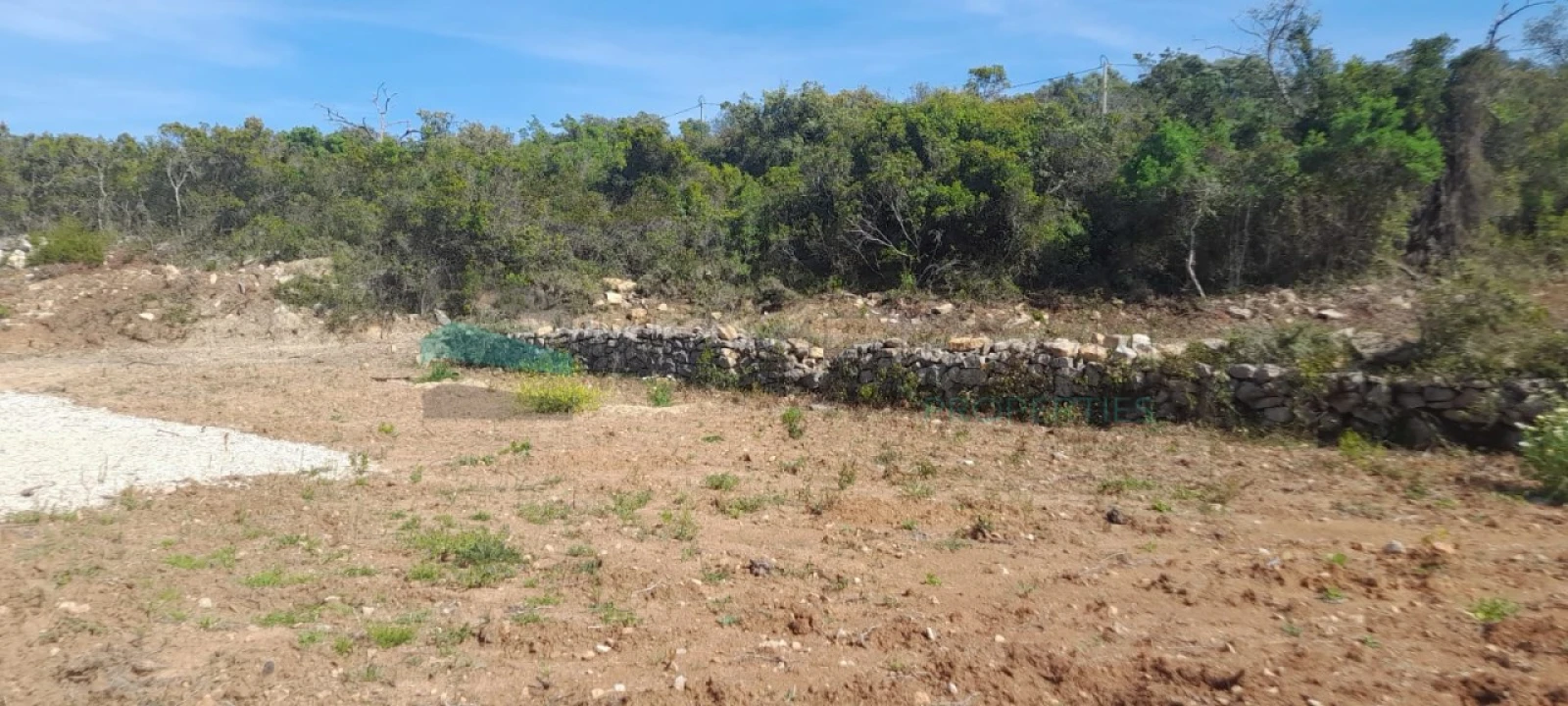 Terreno Agricola ou Rústico para Venda em Loule (São Clemente) Foto 5
