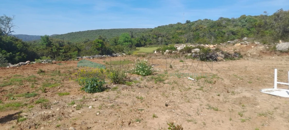 Terreno Agricola ou Rústico para Venda em Loule (São Clemente) Foto 8