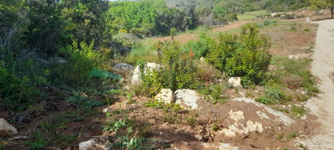 Terreno Agricola ou Rústico para Venda em Loule (São Clemente) Foto 9