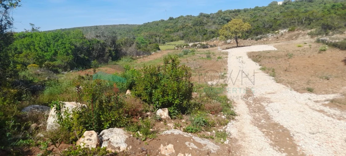 Terreno Agricola ou Rústico para Venda em Loule (São Clemente) Foto 12