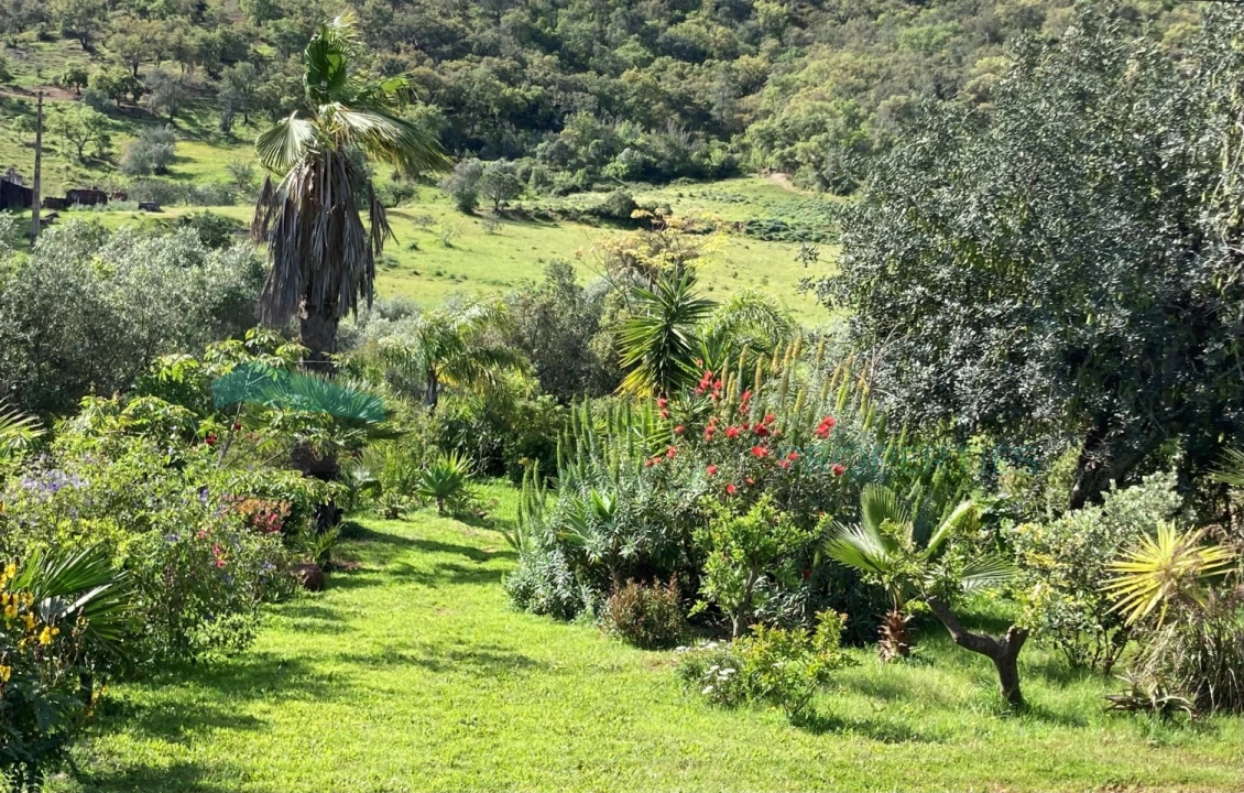 Moradia T2 para Venda em Alte Foto 31