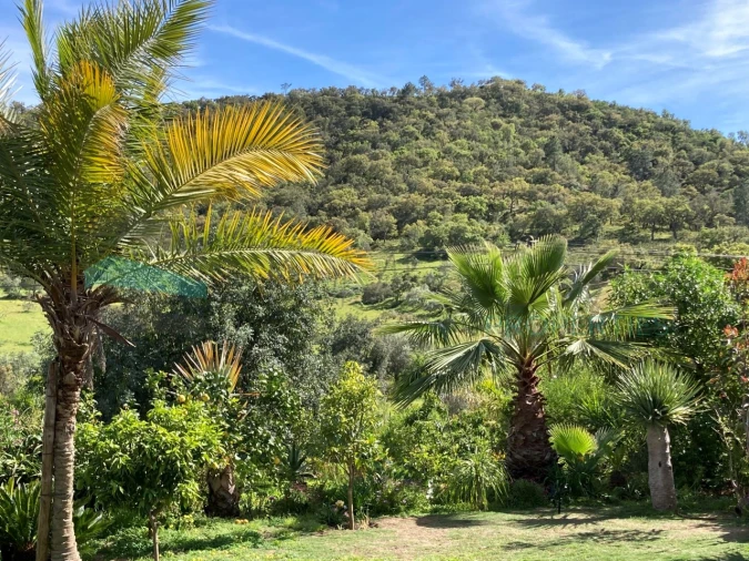 Moradia T2 para Venda em Alte Foto 29