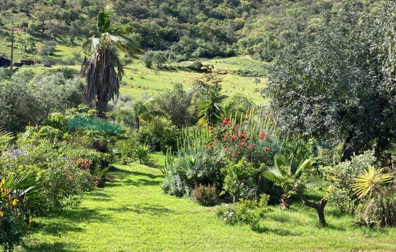 Moradia T2 para Venda em Alte Foto 31