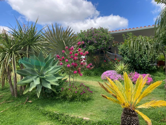 Moradia T2 para Venda em Alte Foto 23