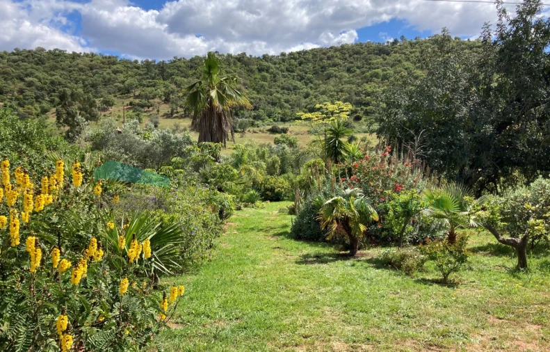 Moradia T2 para Venda em Alte Foto 33