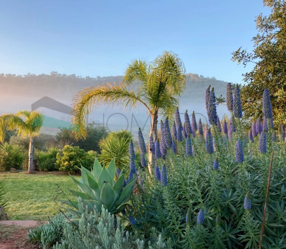 Moradia T2 para Venda em Alte Foto 35