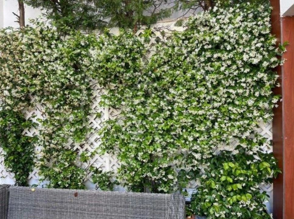 Apartamento T3 para Arrendamento em Algés, Linda-A-Velha e Cruz Quebrada-Dafundo Foto 24