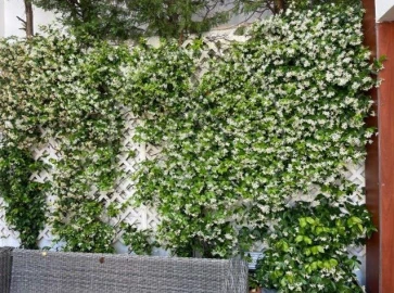 Apartamento T3 para Arrendamento em Algés, Linda-A-Velha e Cruz Quebrada-Dafundo