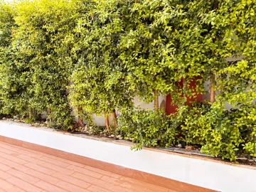 Apartamento T3 para Arrendamento em Algés, Linda-A-Velha e Cruz Quebrada-Dafundo