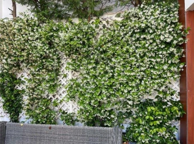 Apartamento T3 para Arrendamento em Algés, Linda-A-Velha e Cruz Quebrada-Dafundo Foto 24