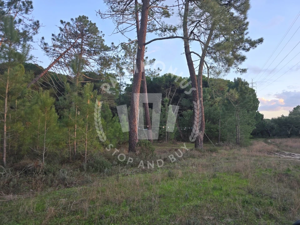 Terreno Agricola ou Rústico para Venda em Sines Foto 2