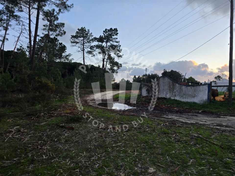 Terreno Agricola ou Rústico para Venda em Sines Foto 3