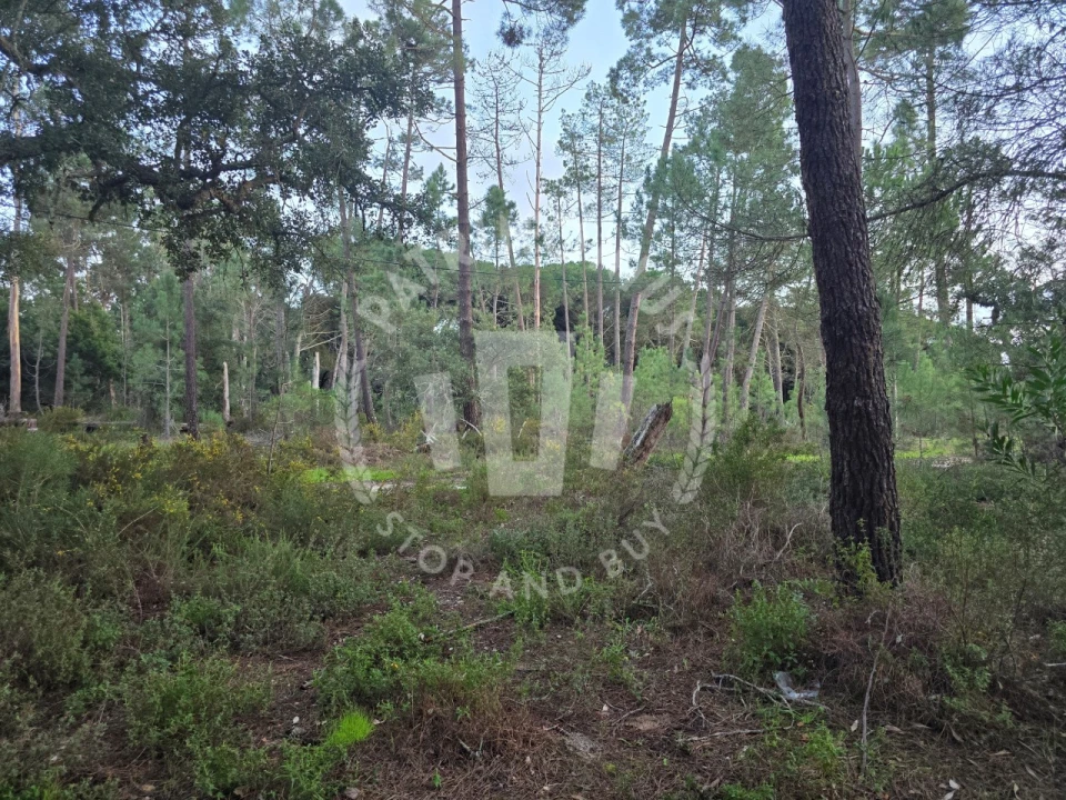 Terreno Agricola ou Rústico para Venda em Sines Foto 7