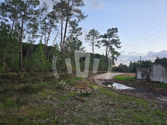Terreno Agricola ou Rústico para Venda em Sines Foto 6