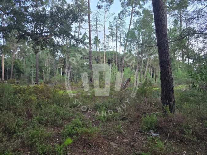Terreno Agricola ou Rústico para Venda em Sines Foto 7
