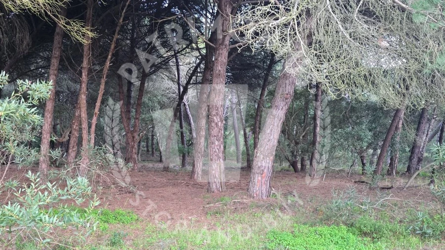 Terreno Agricola ou Rústico para Venda em Sines