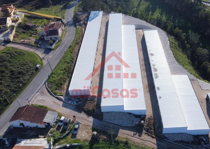 Armazém para Arrendamento em Santa Maria, São Pedro e Matacães Foto 15