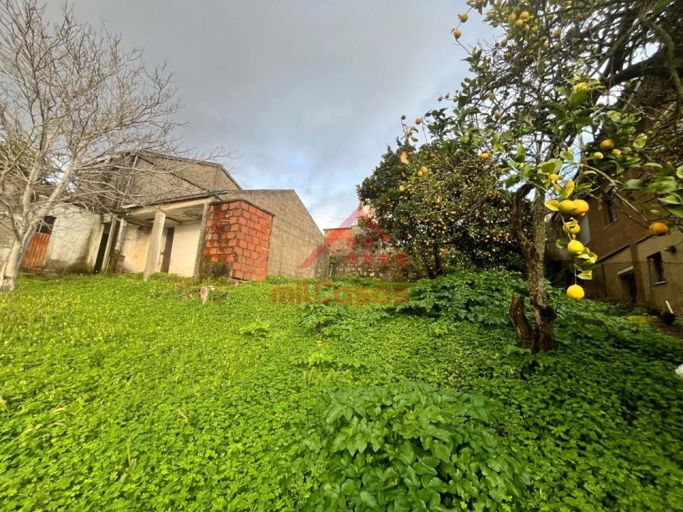 Terreno para Venda em Santa Clara e Castelo Viegas Foto 4