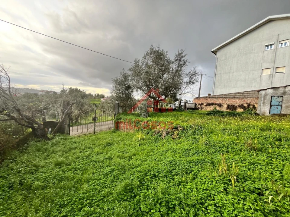 Terreno para Venda em Santa Clara e Castelo Viegas Foto 10