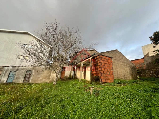 Terreno para Venda em Santa Clara e Castelo Viegas Foto 6