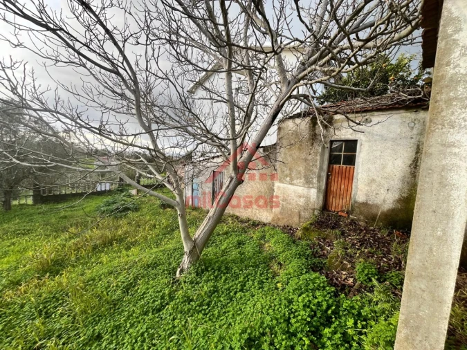 Terreno para Venda em Santa Clara e Castelo Viegas Foto 9