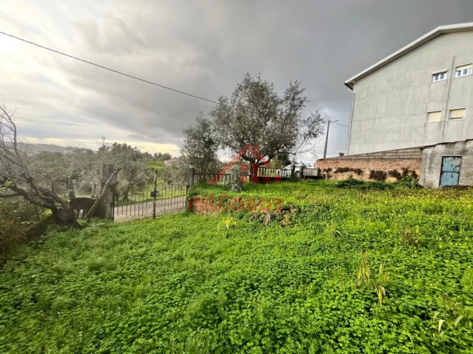 Terreno para Venda em Santa Clara e Castelo Viegas Foto 10