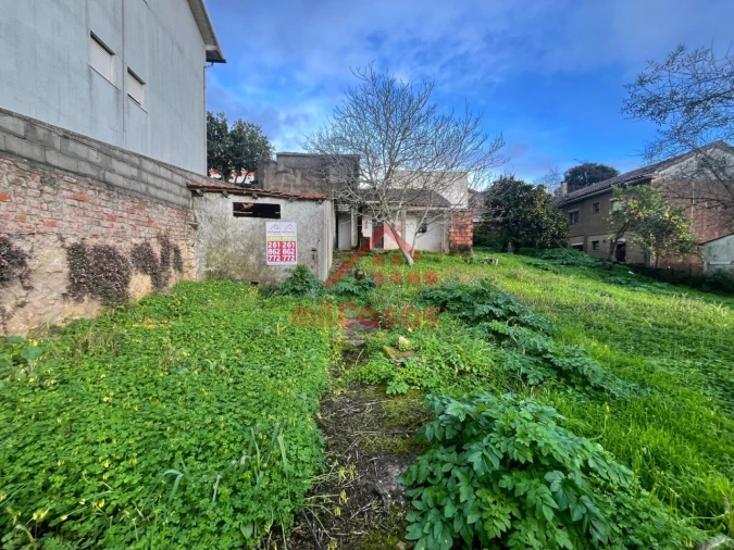 Terreno para Venda em Santa Clara e Castelo Viegas Foto 16