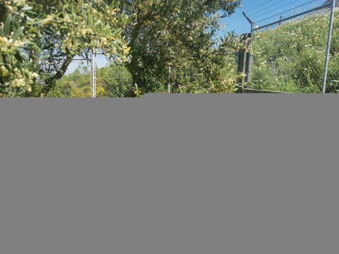 Moradia T12 para Venda em Camarate, Unhos e Apelação Foto 8