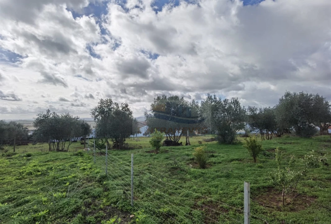 Terreno para Venda em Nossa Senhora da Conceição, São Brás dos Matos, Juromenha Foto 11