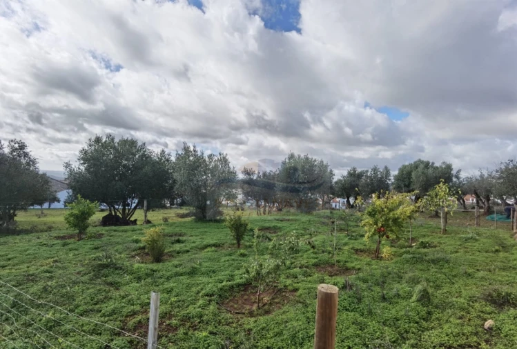 Terreno para Venda em Nossa Senhora da Conceição, São Brás dos Matos, Juromenha Foto 9