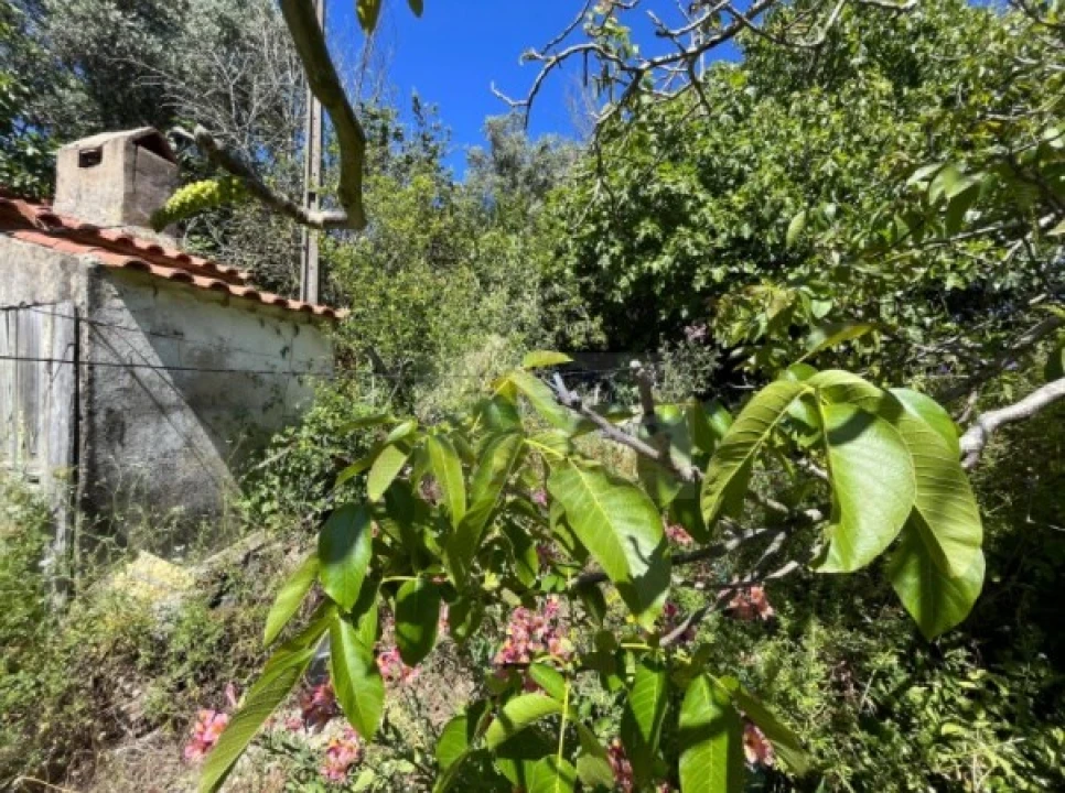 Terreno para Venda em Santa Maria, São Pedro e Matacães Foto 7
